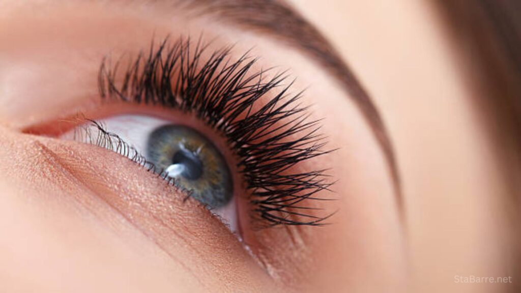 Luxe Lash Lift