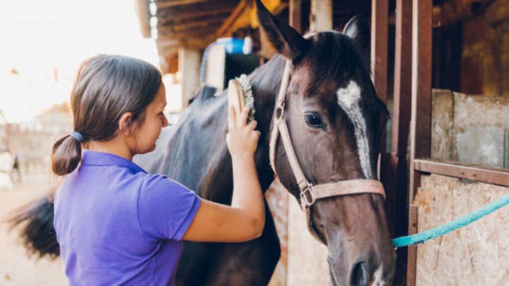 How Much Does a Horse Weigh