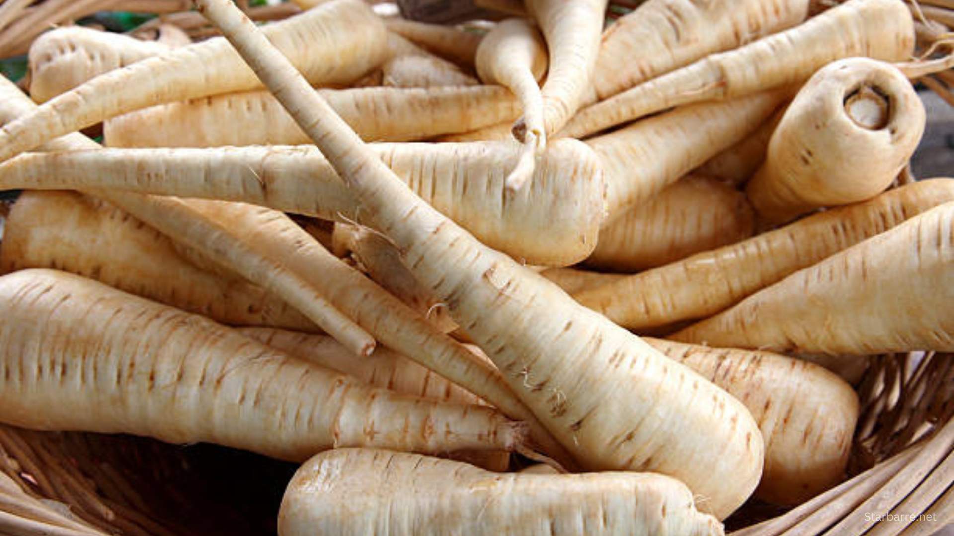 Can Dogs Eat Parsnips