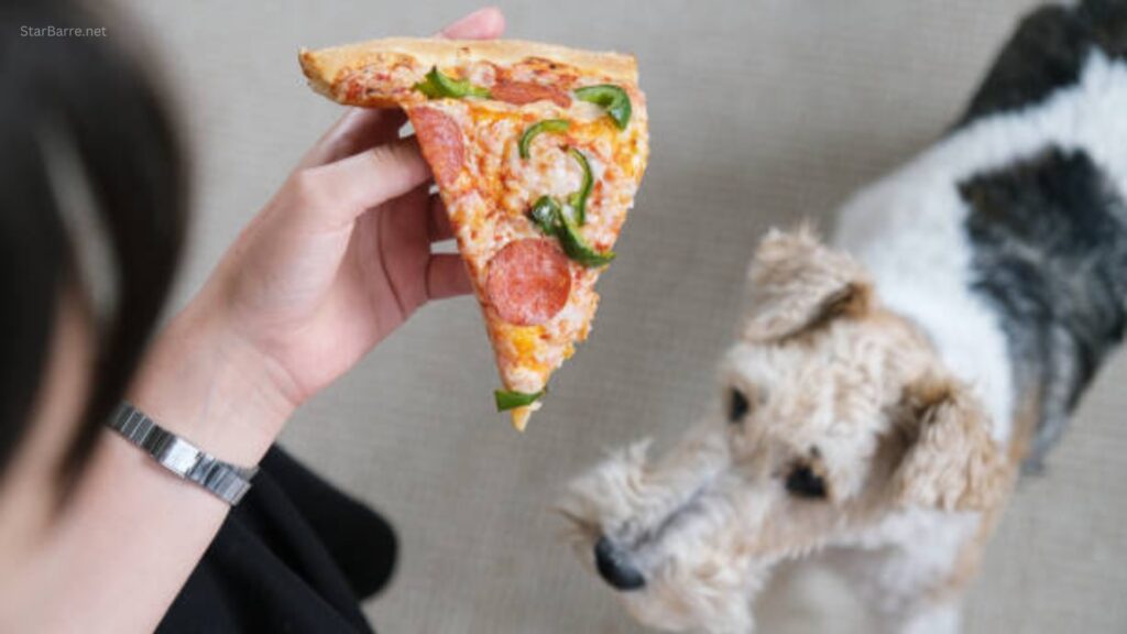 Can Dogs Eat Pizza